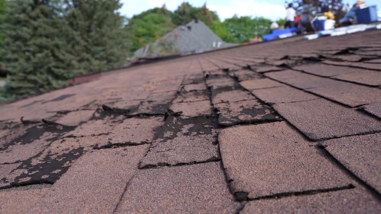 Fast & Reliable Emergency Roof Repairs in Churubusco, IN